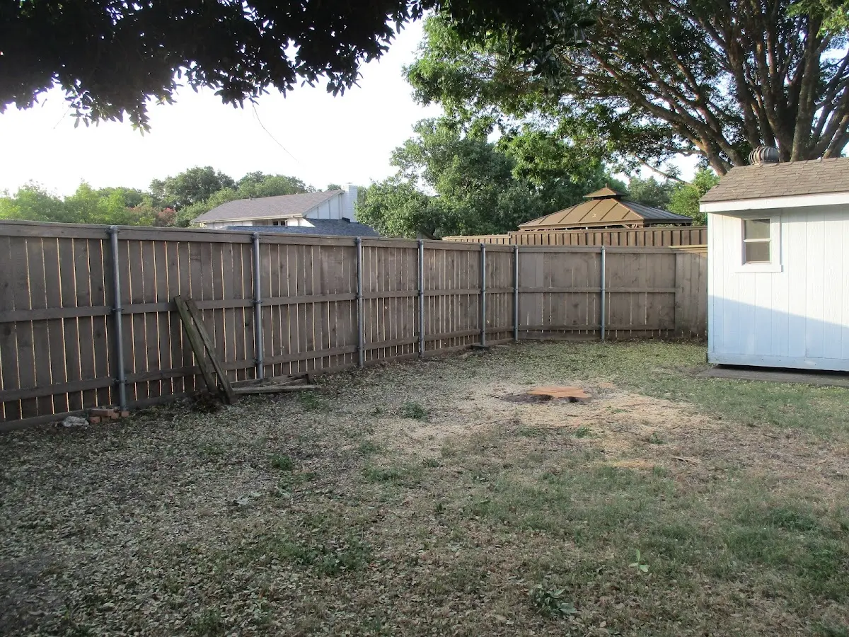 Cleared yard after professional tree removal in Hope Valley